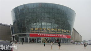 国际商贸城的枣子，便宜到让人心动